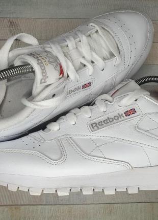 Кроссовки reebok classic1 фото