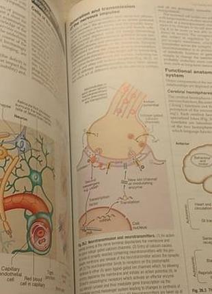 Книга на английском davidson medicina практические принципы клиническая медицина6 фото