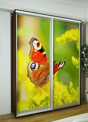 Шафа-купе економ №6 d-600 (двері фотодрук) (1500мм x 600мм x 2400мм)