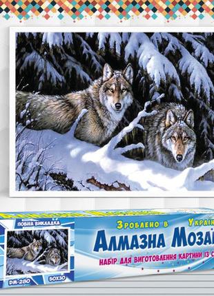 Алмазна вишивка набір вовки на снігу dm-2801 фото