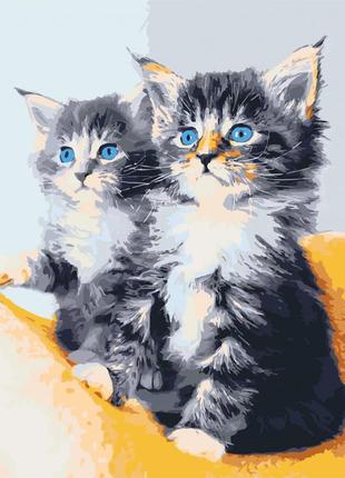 Картина для малювання за номерами на полотні блакитноокі кошенята 40*50 art craft 11617-ac