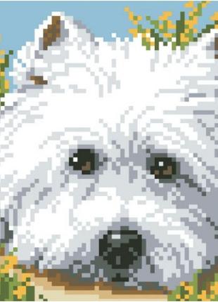 Алмазная вышивка набор для детей взгляд щенка 18х18 ua-037