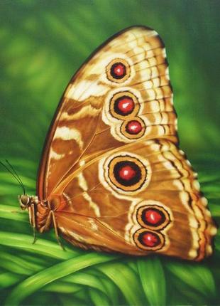 Алмазная вышивка на подрамнике бабочка монарх 30х40 dmf-1761 фото