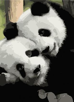 Картина для рисования по номерам на холсте панды инь янь 50*40 art craft 11606-ac