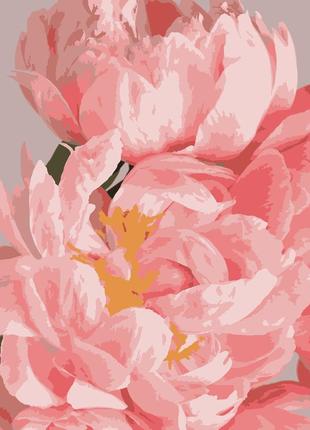 Картины по номерам нежные пионы 40*50см