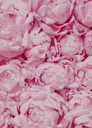 Картины по номерам нежность 40*50 см