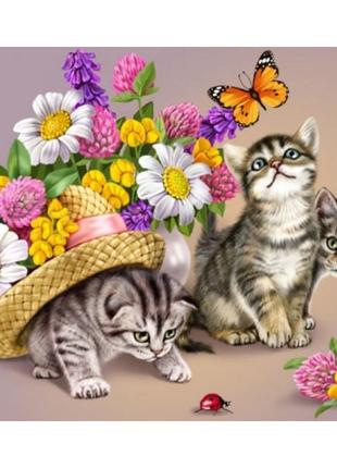 Алмазная вышивка на подрамнике игривые котята 50х40 dmf-042