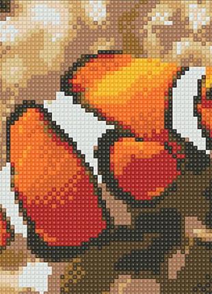 Алмазная вышивка набор для детей рыба клоун 20х18 ua-039