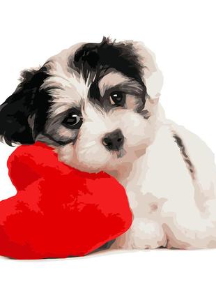 Картина за номерами strateg преміум щеня з сердечком з лаком та рівнем розміром 40х50 см va-3669
