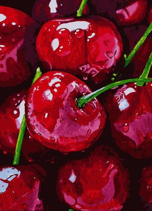 Картины по номерам сочная черешня 50*60 см