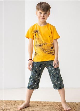 Комплект шорты и футболка для мальчика 10291