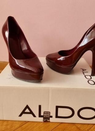 Туфлі aldo