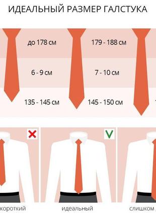 Краватка cinque (німеччина) 100% шовк розмір - 8,5/144 см4 фото