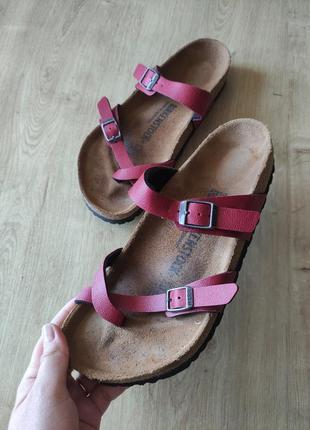 Стильные женские шлепанцы   birkenstock, р.39