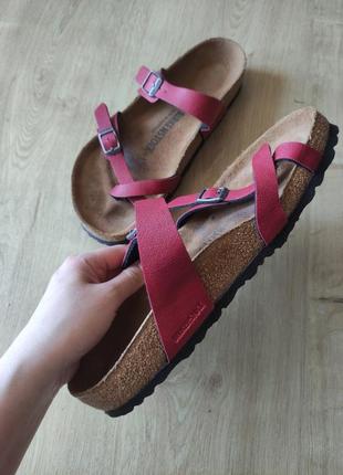 Стильные женские шлепанцы   birkenstock, р.392 фото