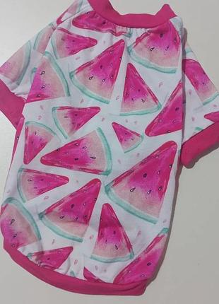 Футболка для собак з принтом кавун