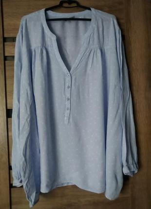 Блуза свободный крой большой размер, батал f 581 фото