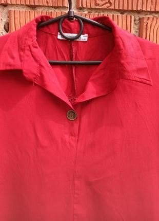 Fulla moda 6