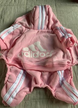 Спортивный костюм для маленькой собачки