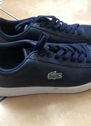 Кеды lacoste