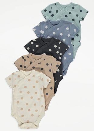 Бозові бодіки