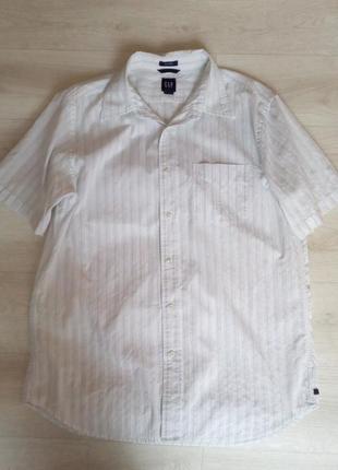 Сорочка чоловіча gap classic l/g.