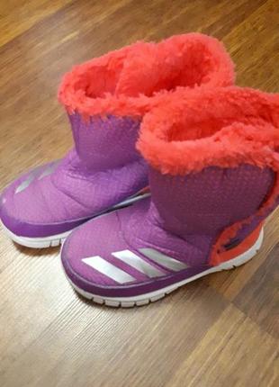 Чобітки adidas climawarm