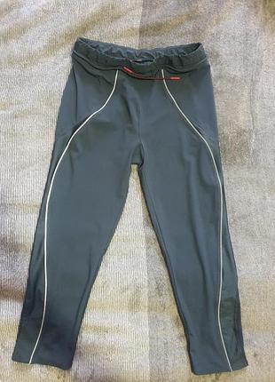Лосіни, леггінси, велосипедки sweaty betty, crivit, nike, adidas,