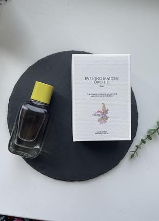 Zara evening maiden orchid