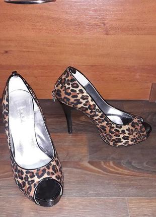 Туфлі blossem леопард