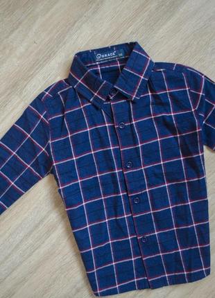 Фірмова сорочка з довгим рукавом на гудзиках марки grace