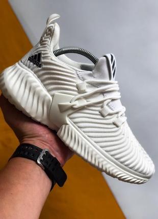 Шикарні кросівки adidas (весна/ літо/ осінь)