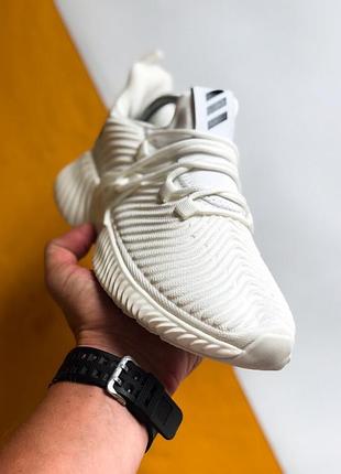 Шикарні кросівки adidas (весна/ літо/ осінь)