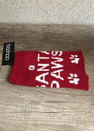 Одежда для животных