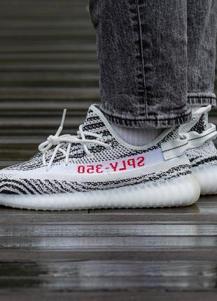 Женские кроссовки adidas yeezy boost 350 v2 zebra #адидас