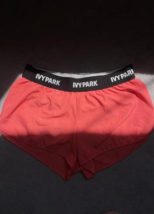 Спортивные шорты adidas ivy park2 фото