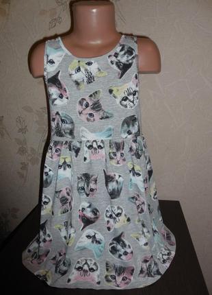Есть 2 шт.. сарафан h&m с котиками, котон, 6-8 лет (122-128 см)