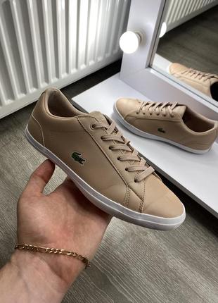 Кеди lacoste