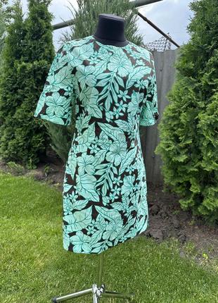 Сукня, платье, zara 2