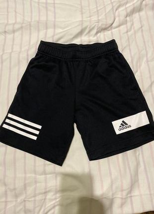 Шорты спортивные adidas