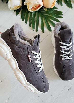 Зимние замшевые кроссовки teddy bear серые