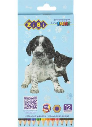 Олівці кольорові zibi dogs&cats шестигранні 12 кольорів (zb.2427)