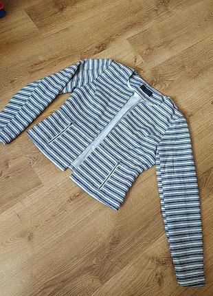 Пиджак жакет