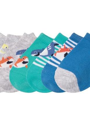 Шкарпетки, набір lupilu для хлопчика, р. 23-26, 27-30 (арт 1908)