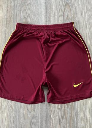 Чоловічі спортивні шорти nike1 фото