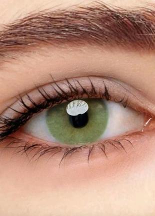 Цветные контактные линзы для глаз натуральные зеленые желтые без диоптрий + контейнер2 фото