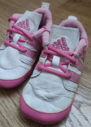 Тапочки adidas, 19