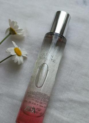 Queen plumrose 30 ml zara