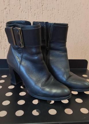 Сапожки andre оригинал