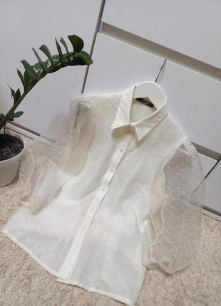 Шикарная шифоновая блуза м